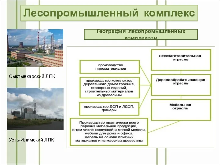 Архангельск Сыктывкар Братск Усть-Илимск Красноярск Амурск Лесосибирск Лесопромышленные комплексы Структура