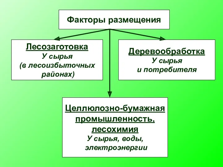 Факторы размещения Лесозаготовка У сырья (в лесоизбыточных районах) Деревообработка У