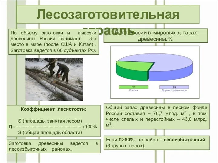 Доля России в мировых запасах древесины, %. Общий запас древесины