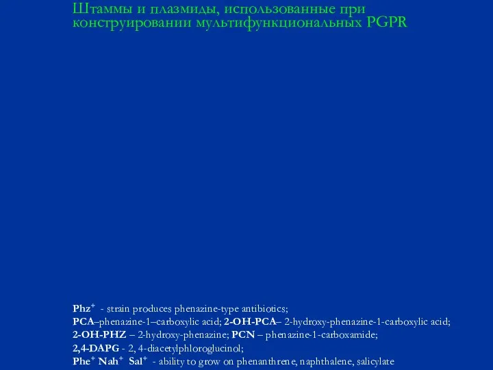 Штаммы и плазмиды, использованные при конструировании мультифункциональных PGPR Phz+ - strain produces phenazine-type