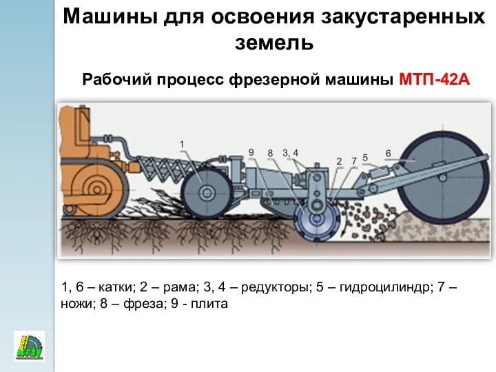 Машины для освоения закустаренных земель Рабочий процесс фрезерной машины МТП-42А 1, 6 –