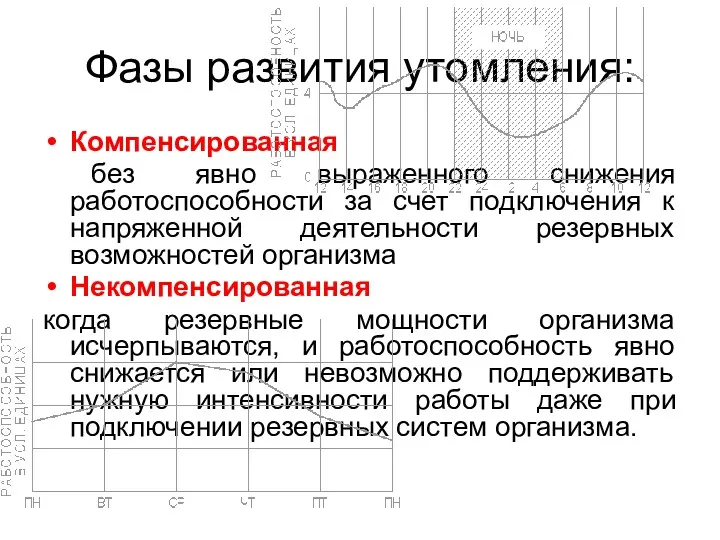 Фазы развития утомления: Компенсированная без явно выраженного снижения работоспособности за