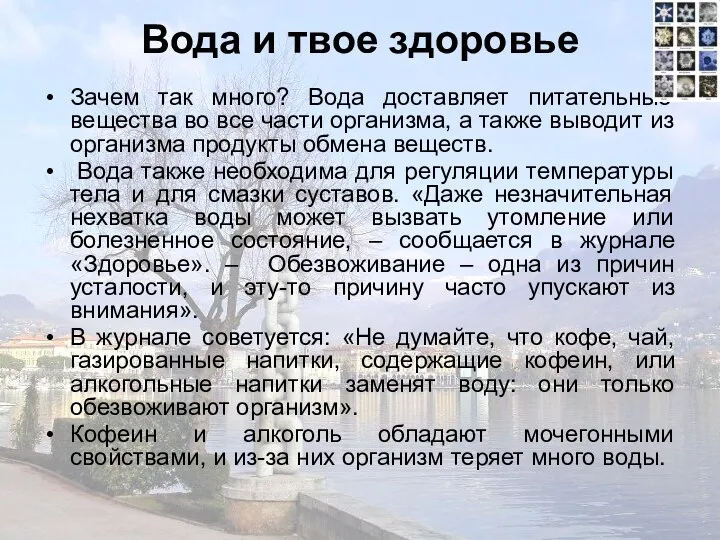 Вода и твое здоровье Зачем так много? Вода доставляет питательные