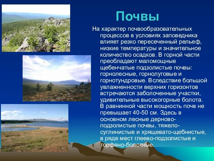 Почвы На характер почвообразовательных процессов в условиях заповедника влияет резко