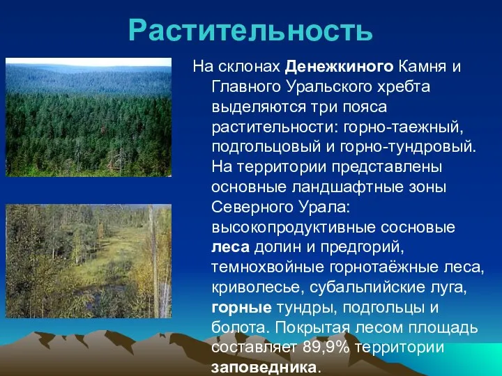 Растительность На склонах Денежкиного Камня и Главного Уральского хребта выделяются