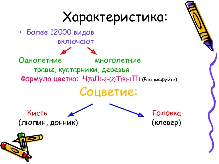 Характеристика: Более 12000 видов включают Однолетние многолетние травы, кустарники, деревья