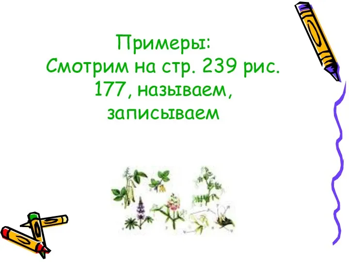 Примеры: Смотрим на стр. 239 рис. 177, называем, записываем