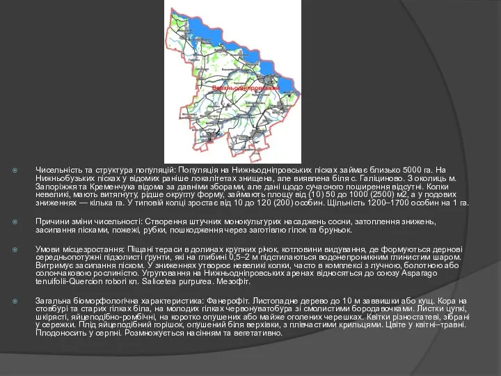 Чисельність та структура популяцій: Популяція на Нижньодніпровських пісках займає близько