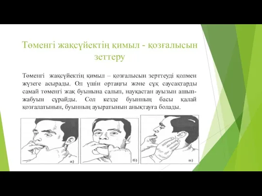 Төменгі жақсүйектің қимыл - қозғалысын зеттеру Төменгі жақсүйектің қимыл –