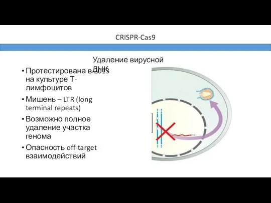 CRISPR-Cas9 Протестирована в 2013 на культуре Т-лимфоцитов Мишень – LTR