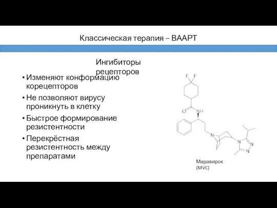 Изменяют конформацию корецепторов Не позволяют вирусу проникнуть в клетку Быстрое