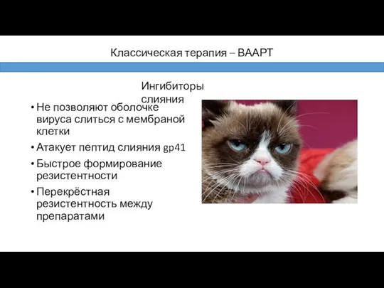 Не позволяют оболочке вируса слиться с мембраной клетки Атакует пептид слияния gp41 Быстрое