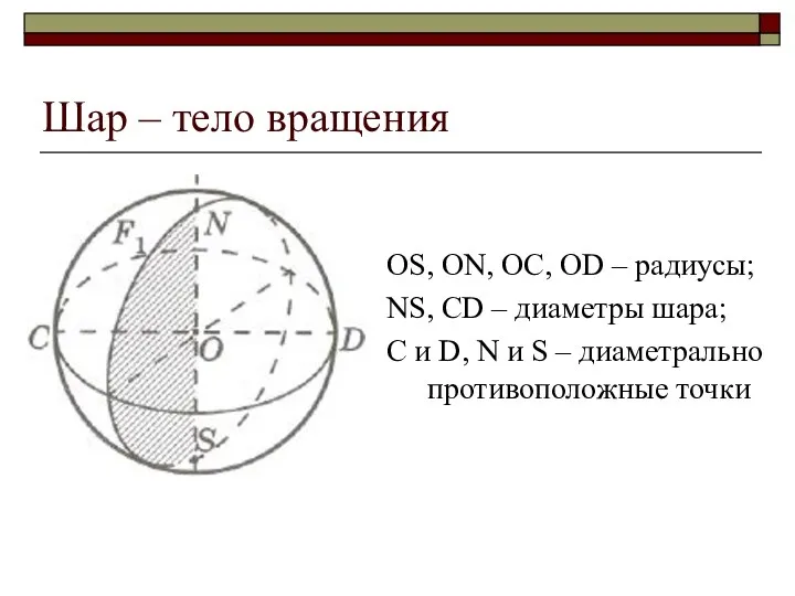 Шар – тело вращения OS, ON, OC, OD – радиусы;