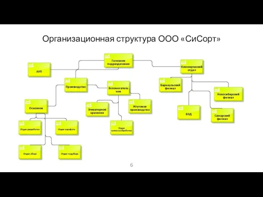 Организационная структура ООО «СиСорт»