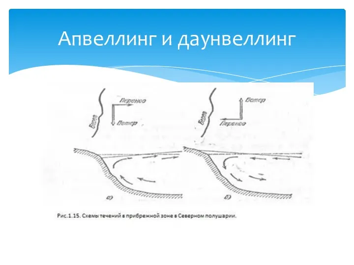 Апвеллинг и даунвеллинг