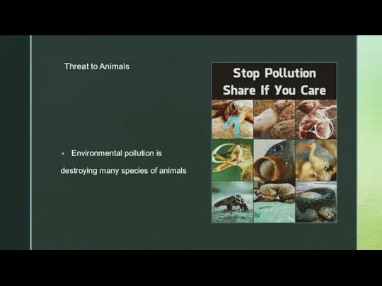 Threat to Animals Environmental pollution is destroying many species of animals