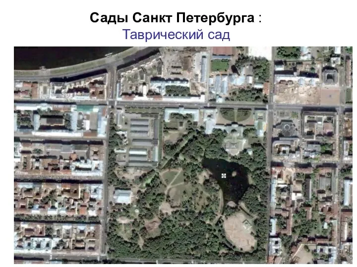 Сады Санкт Петербурга : Таврический сад