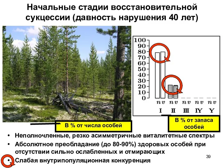 Начальные стадии восстановительной сукцессии (давность нарушения 40 лет) Неполночленные, резко