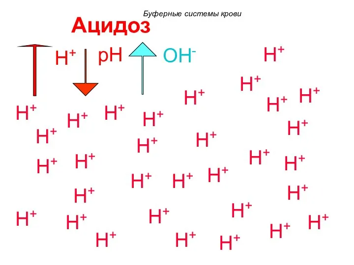 Ацидоз H+ H+ H+ H+ H+ H+ H+ H+ H+