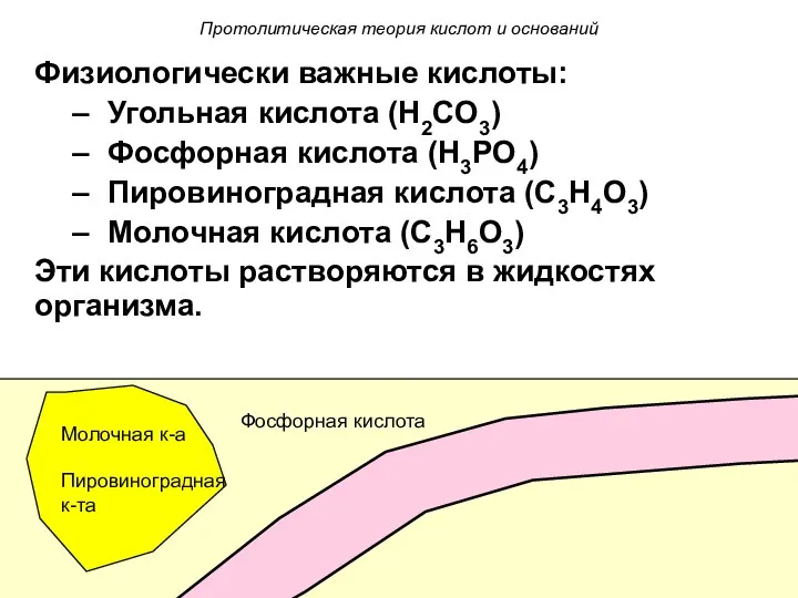 Физиологически важные кислоты: Угольная кислота (H2CO3) Фосфорная кислота (H3PO4) Пировиноградная кислота (C3H4O3) Молочная