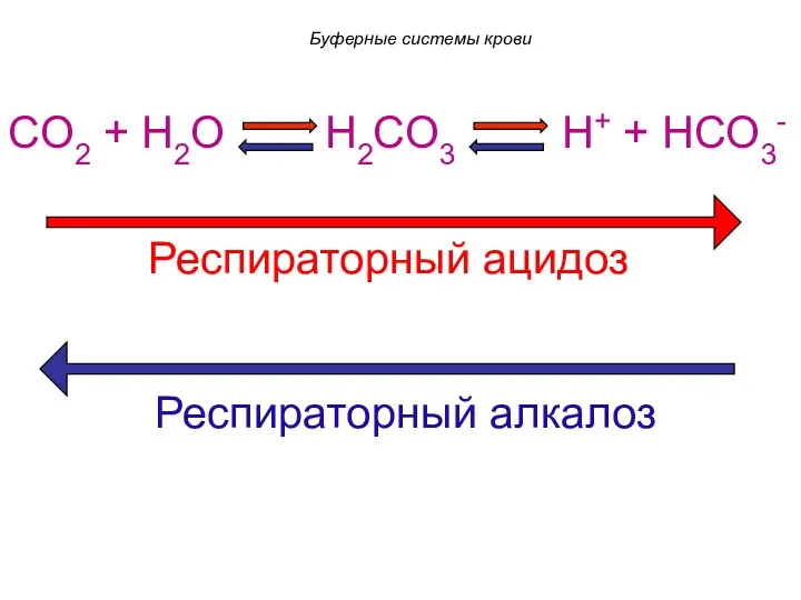 CO2 + H2O H2CO3 H+ + HCO3- Респираторный ацидоз Респираторный алкалоз Буферные системы крови