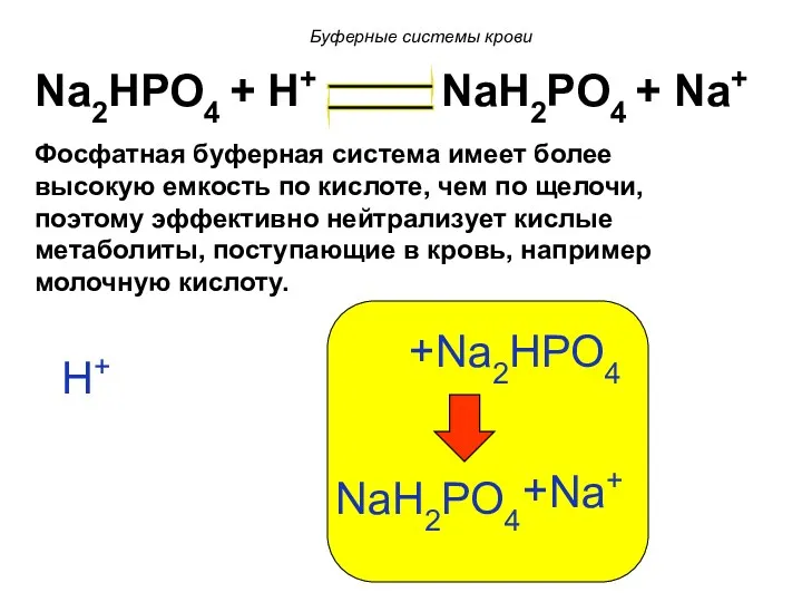 Na2HPO4 + H+ NaH2PO4 + Na+ H+ Na2HPO4 + NaH2PO4 Na+ + Фосфатная