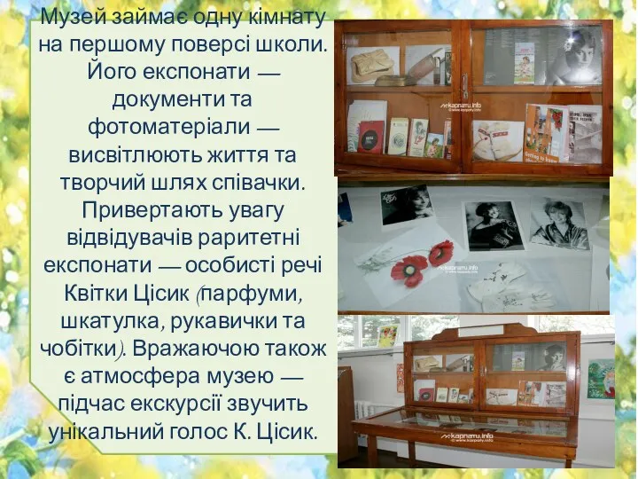 Музей займає одну кімнату на першому поверсі школи. Його експонати