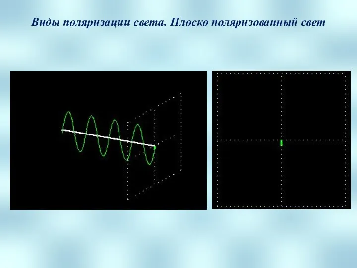 Виды поляризации света. Плоско поляризованный свет