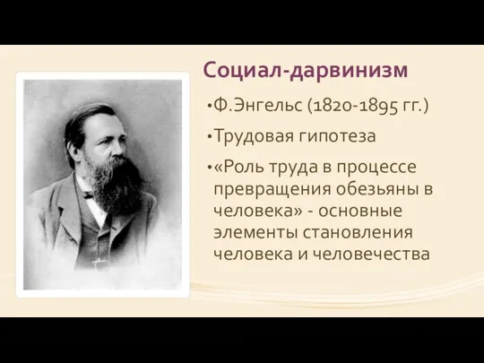 Социал-дарвинизм Ф.Энгельс (1820-1895 гг.) Трудовая гипотеза «Роль труда в процессе