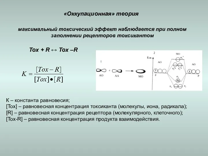 максимальный токсический эффект наблюдается при полном заполнении рецепторов токсикантом «Оккупационная»