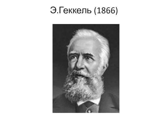 Экология. Основные задачи экологии. Биосфера, экосистема