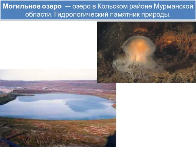 Могильное озеро — озеро в Кольском районе Мурманской области. Гидрологический памятник природы.