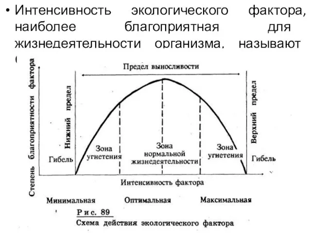 Интенсивность экологического фактора, наиболее благоприятная для жизнедеятельности организма, называют ОПТИМУМОМ.