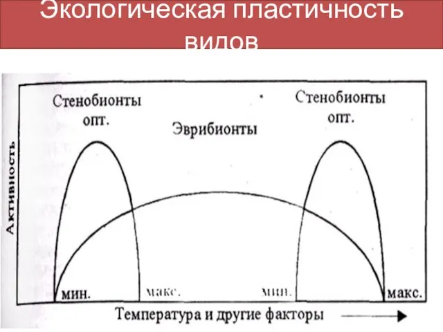 Экологическая пластичность видов