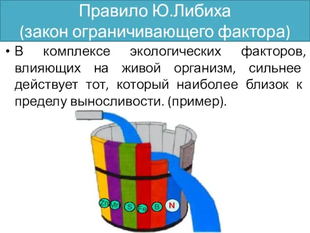 Правило Ю.Либиха (закон ограничивающего фактора) В комплексе экологических факторов, влияющих на живой организм,