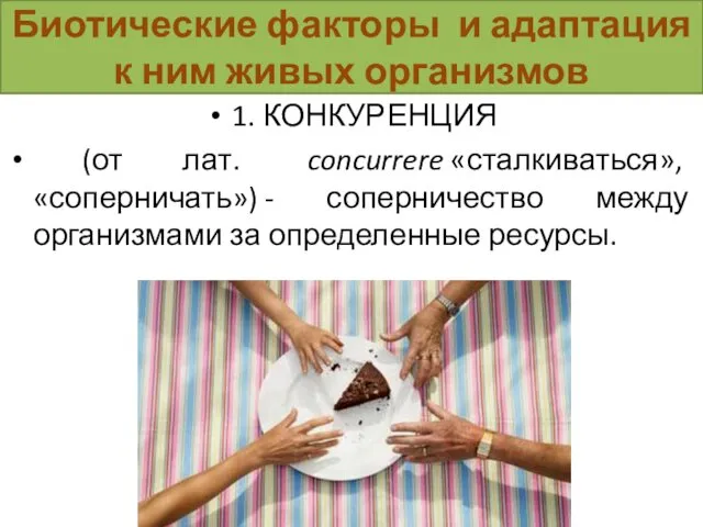 Биотические факторы и адаптация к ним живых организмов 1. КОНКУРЕНЦИЯ