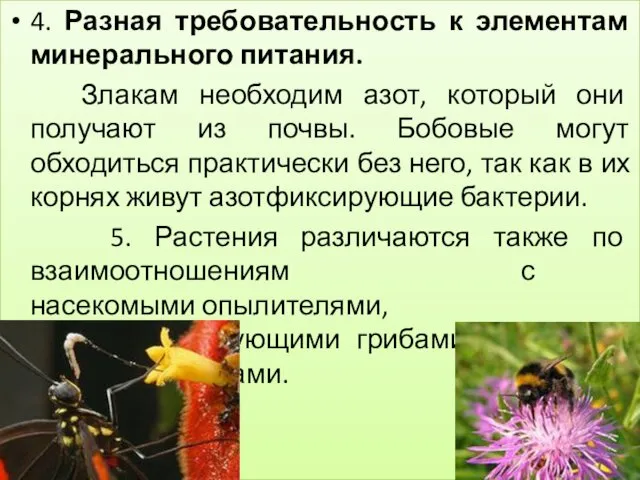 4. Разная требовательность к элементам минерального питания. Злакам необходим азот, который они получают