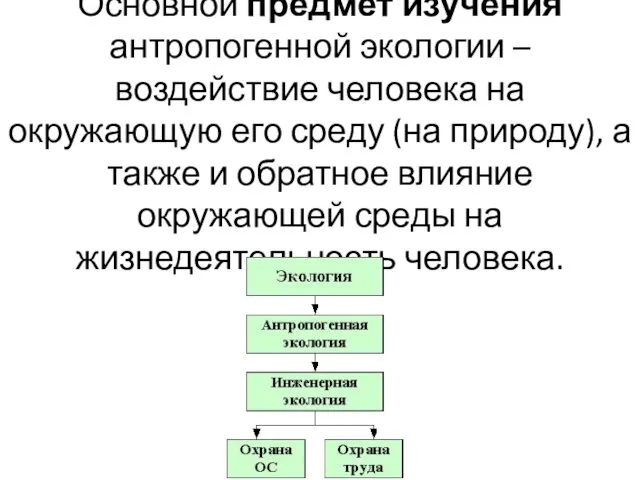 Основной предмет изучения антропогенной экологии – воздействие человека на окружающую