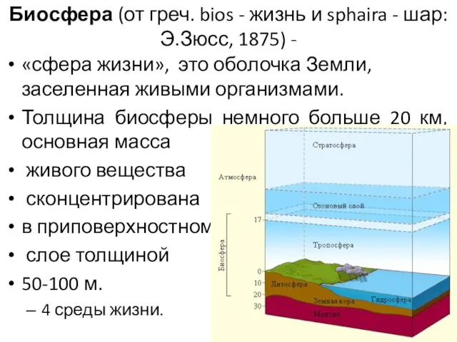 Биосфера (от греч. bios - жизнь и sphaira - шар: