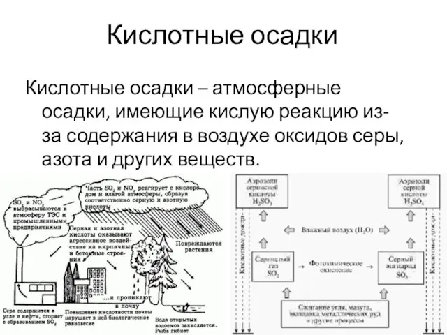 Кислотные осадки Кислотные осадки – атмосферные осадки, имеющие кислую реакцию из-за содержания в