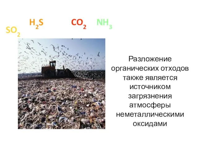 Разложение органических отходов также является источником загрязнения атмосферы неметаллическими оксидами H2S SO2 CO2 NO2 NH3