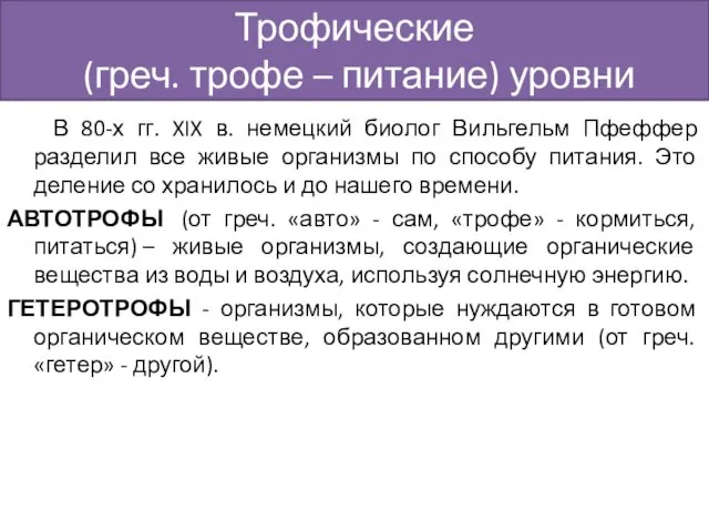 Трофические (греч. трофе – питание) уровни В 80-х гг. XIX в. немецкий биолог