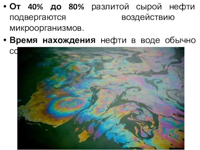 От 40% до 80% разлитой сырой нефти подвергаются воздействию микроорганизмов.