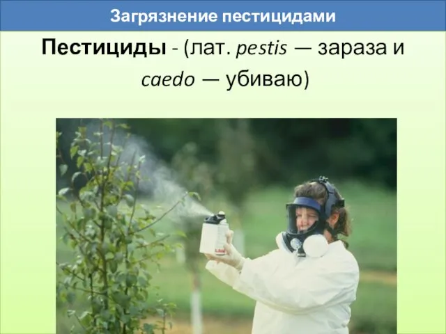 Загрязнение пестицидами Пестициды - (лат. pestis — зараза и caedo — убиваю)