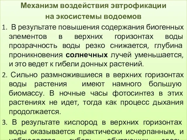 Механизм воздействия эвтрофикации на экосистемы водоемов 1. В результате повышения