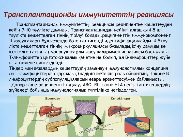 Трансплантационды иммунитеттің реакциясы Трансплантационды иммунитеттің реакциясы реципиентке көшеттеуден кейін,7-10 тәулікте