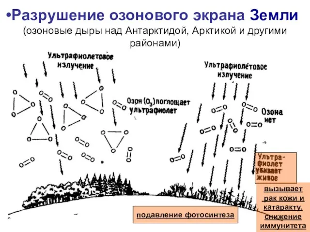 Разрушение озонового экрана Земли (озоновые дыры над Антарктидой, Арктикой и другими районами) подавление