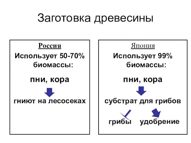 Заготовка древесины Россия Использует 50-70% биомассы: пни, кора гниют на лесосеках Япония Использует