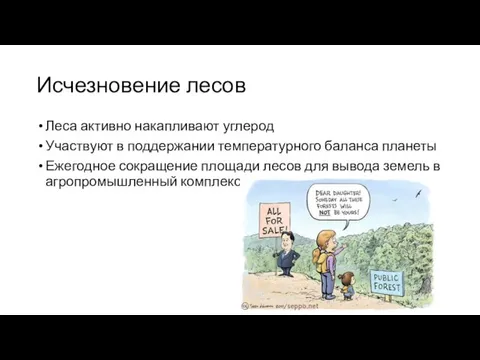 Исчезновение лесов Леса активно накапливают углерод Участвуют в поддержании температурного