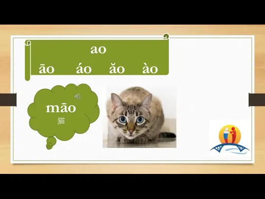 ao āo áo ăo ào māo 猫